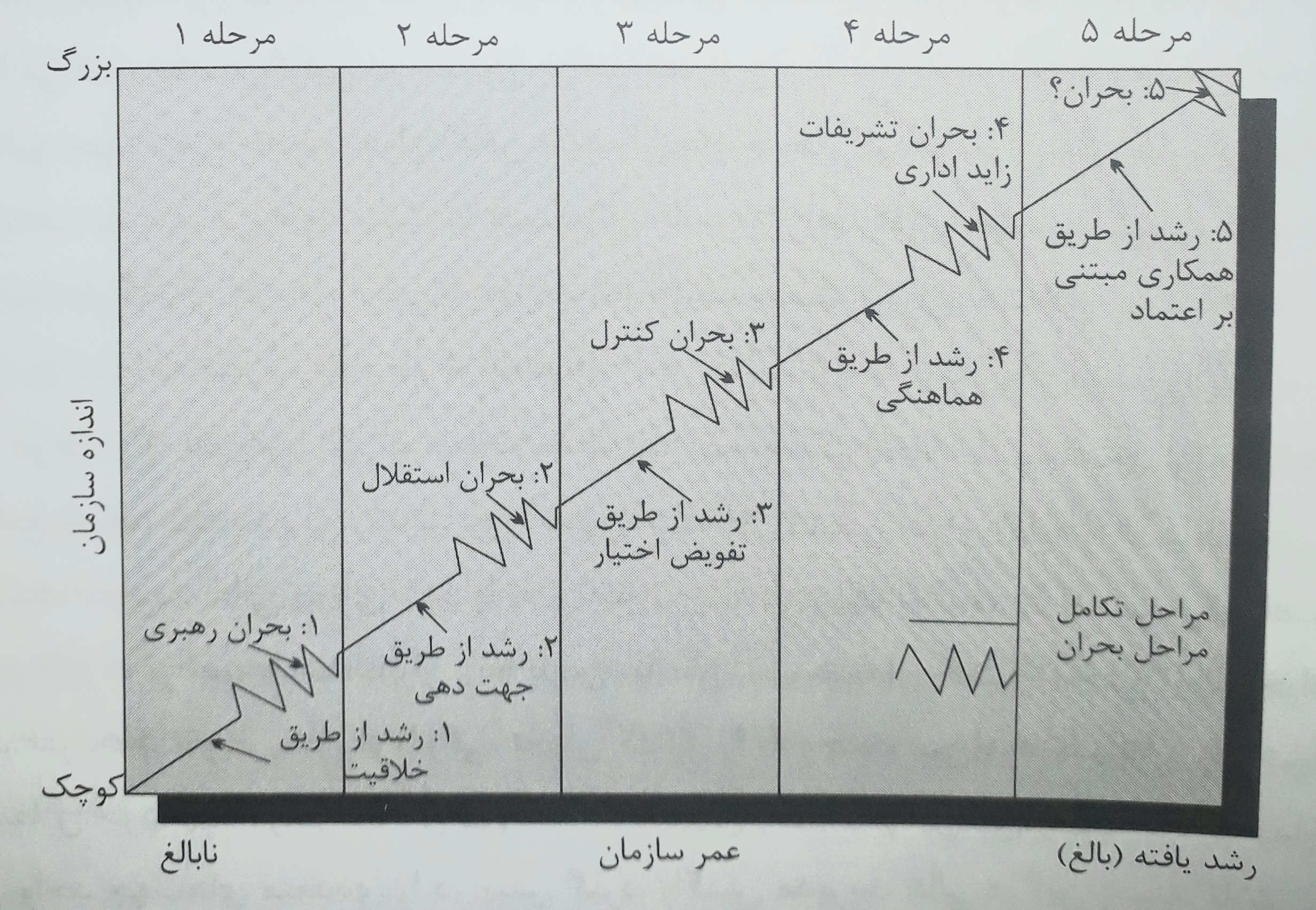 مدل رشد سازمانی